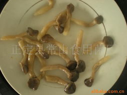 正定縣常山食用菌廠 食用菌罐頭與食用農(nóng)產(chǎn)品精選清單